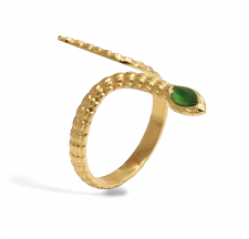 ��������� ����