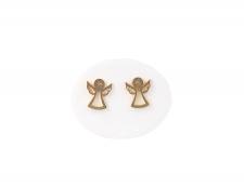 ����������� ���������