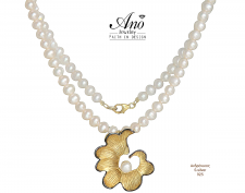 Ano * ����������� ����� ������������